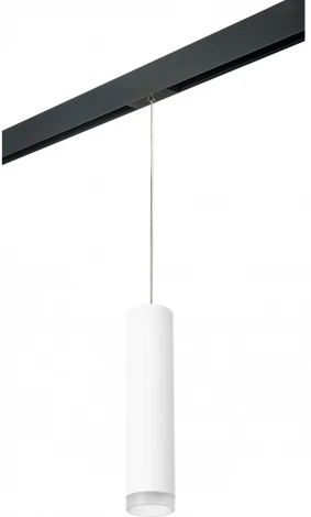 Трековый светильник однофазный 220V Lightstar Rullo PRORP49630 (круглые)