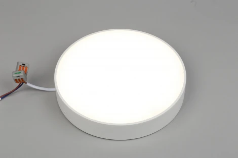 Потолочный светильник круглый Aployt Evon APL.0114.09.24 (LED, 220V, круглые)