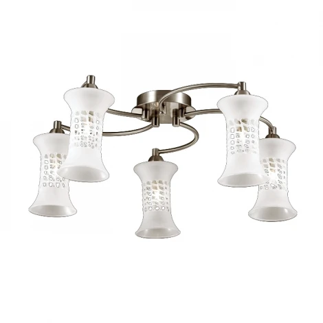 Потолочная люстра Odeon Light Rukba 2516/5C