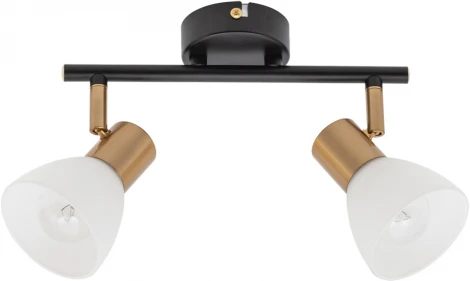 Спот на штанге Arte Lamp Falena A3117PL-2BK (220V)