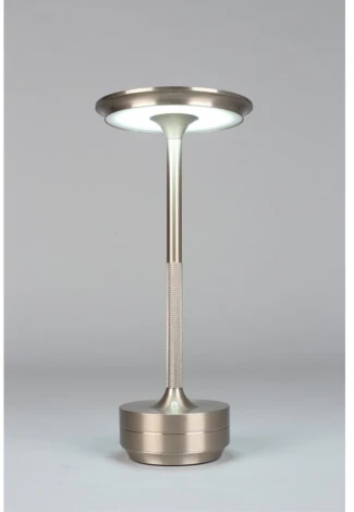 Настольная лампа светодиодная Aployt Markel APL.064.14.05 (220V)