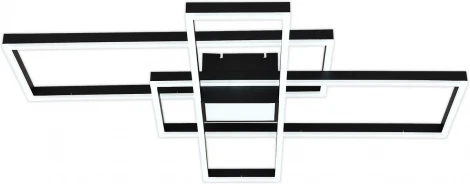 Потолочная люстра светодиодная Escada Twins 10284/4LED 181Вт, металл/акрил, черный (регулировка яркости, 220V, пульт управления)