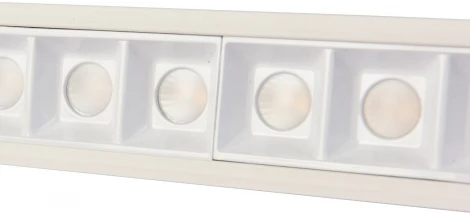 Встраиваемый линейный светильник светодиодный Favourite Roshni 3084-10C (220V)