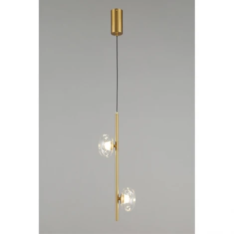 Подвесной светильник Aployt Tereze APL.074.06.02