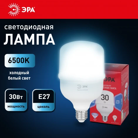 Лампочка светодиодная E27 30W ЭРА LED POWER T80-30W-6500-E27 R