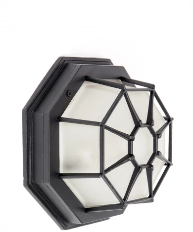 Уличный настенный светильник Oasis Light SIDNEY 10834 Bl (220V, IP54)