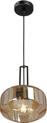 Подвесной светильник Vitaluce V20530-1/1S (220V, на проводе, круглые)