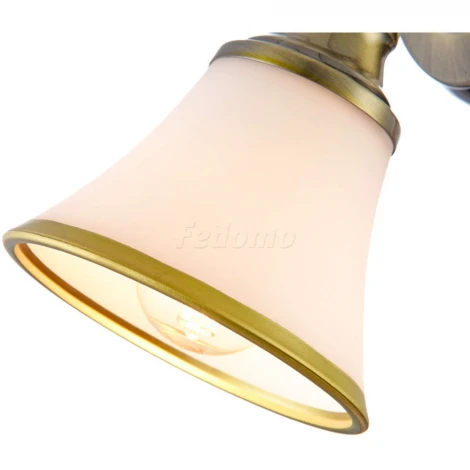 Спот Freya Jasinta FR2272-WL-01-BS (220V, круглые)