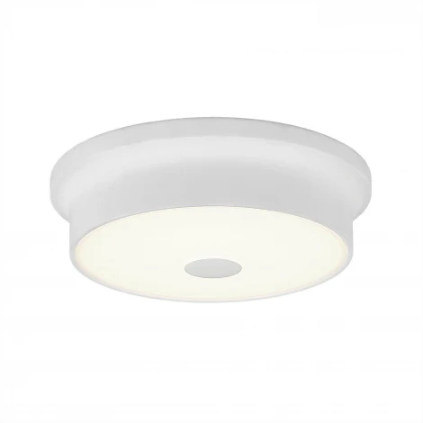 Настенно-потолочный светильник Citilux Фостер-2 CL706210