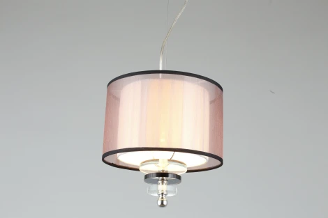 Подвесной светильник Aployt Floret APL.703.06.01 (220V, на тросе, круглые)