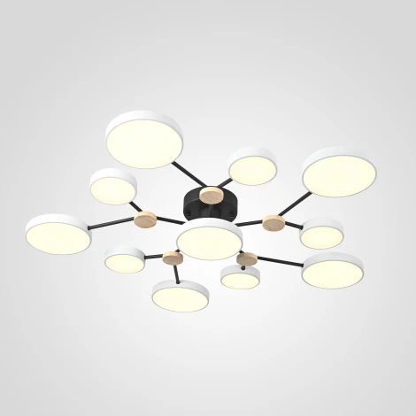 Потолочная люстра на штанге Gamma D102 White Imperiumloft Gamma01 (223764-23) (LED, 220V, пульт управления, круглые)