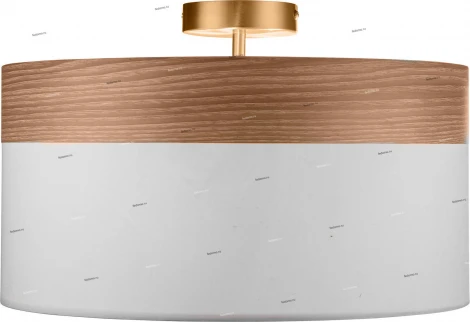 Потолочный светильник Globo Chipsy 15221D