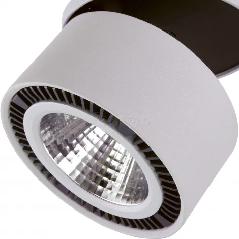 Встраиваемый точечный светильник Lightstar FORTE INCA 213849 (LED, 220V)
