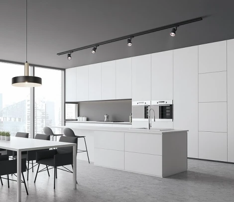 Трековый светильник Escada 20035TRA/01 BK/RGD (220V, круглые)