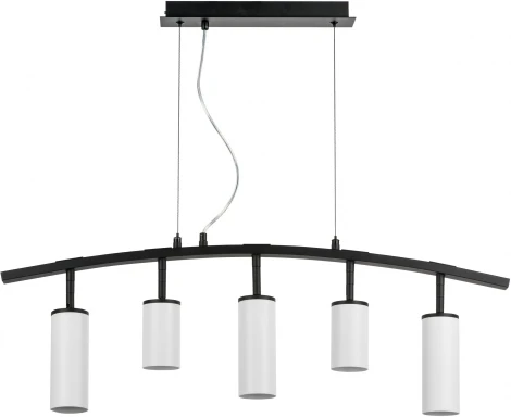 Подвесной светильник Rullo LR735362863 (571735+214436-2+214486-3) (220V, на тросе)