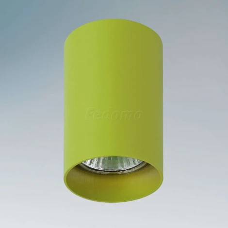 Накладной точечный светильник Lightstar Rullo 214434 (220V)