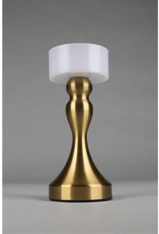 Настольная лампа светодиодная Omnilux OML-40304-01 (220V)