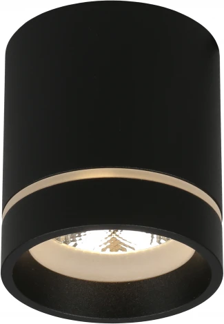 Накладной точечный светильник Aployt Gita APL.0043.19.05 (LED, 220V, круглые)