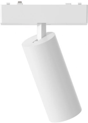 Светильник трековый магнитный 48V Aployt Magnetic track 48 APL.0113.10.09 (LED, круглые)