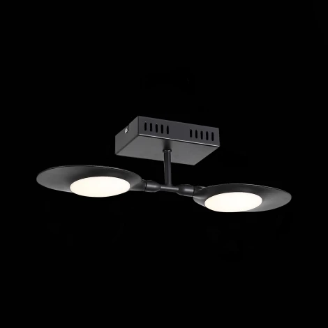Настенно-потолочный светильник ST Luce Farfalo SL824.401.02