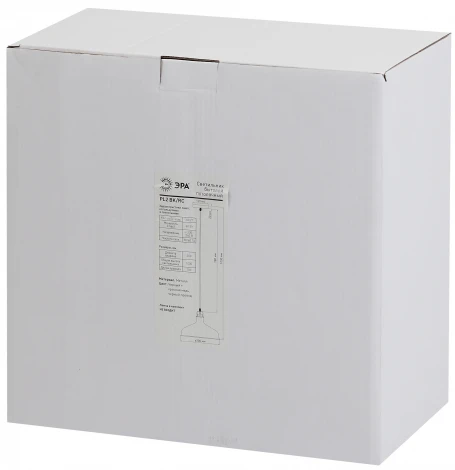 Подвесной светильник Эра PL2 BK/RC (220V, на проводе, круглые)