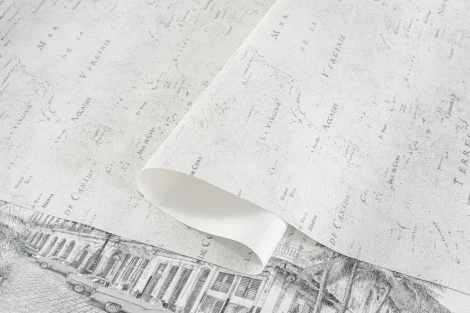 Обои виниловые Артекс Nature Inspiration 10230-05 10,05 x 1,06 м