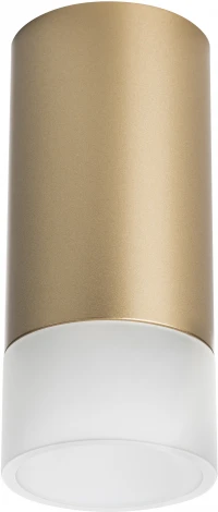 Точечный накладной светильник Lightstar Rullo R44031 (220V, круглые)