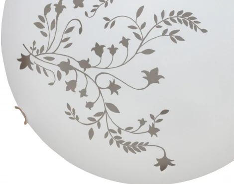 Настенно-потолочный светильник Arte Lamp Ornament A3820PL-2CC