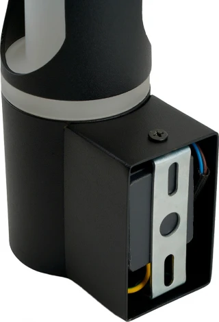 Настенный уличный светильник Feron Сидней 51233 (220V, IP54)