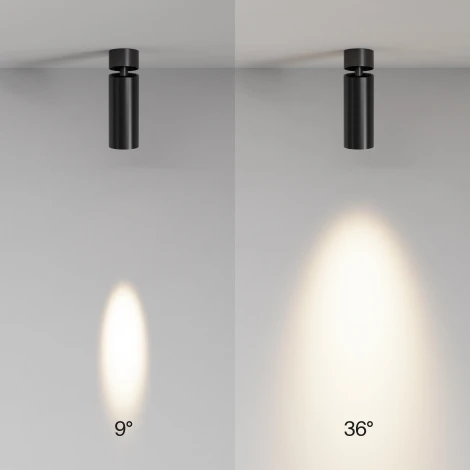 Потолочный светильник накладной Maytoni Focus Led C055CL-L12W3K-SS-B