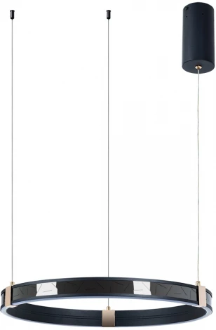 Подвесной светильник Arte Lamp Shine A2222SP-1BK