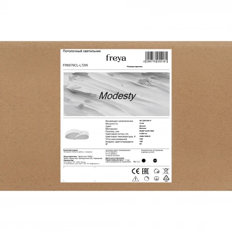 Потолочный светильник светодиодный Freya Modesty FR6079CL-L72W