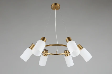 Подвесная люстра Omnilux Ales OML-69103-06 (220V, на тросе)