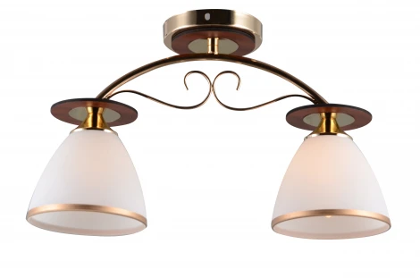 Потолочная люстра J-Light Eva 1504/2C