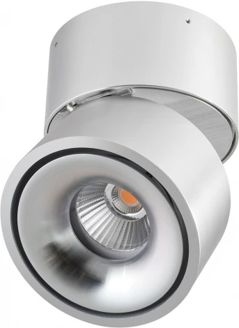 Точечный светильник светодиодный AM Group AM160 AM160 AL (220V)