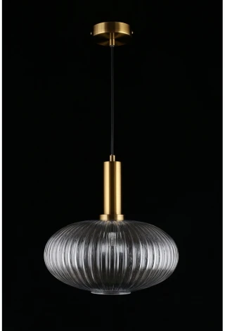 Подвесной светильник Aployt Kornelcia APL.311.06.01 (220V, на проводе, круглые)