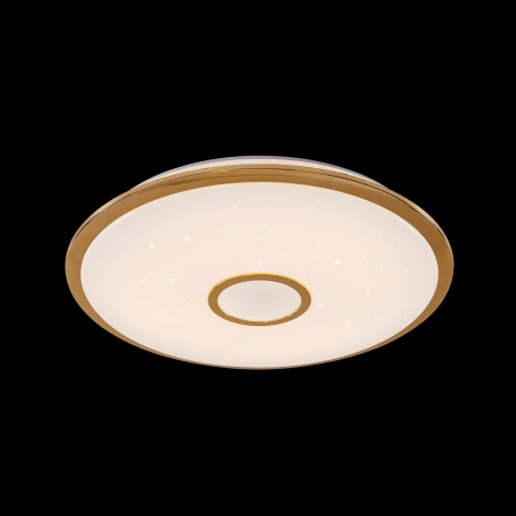 Потолочный светильник Citilux Старлайт R CL70382R