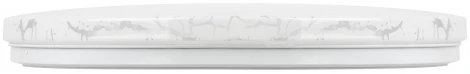 Потолочный светильник светодиодный ЭРА SPB-6 Slim Frost 70W-4K
