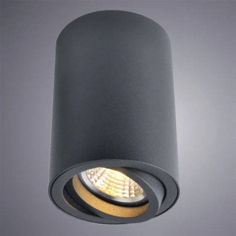 Накладной точечный светильник Arte Lamp Sentry A1560PL-1BK