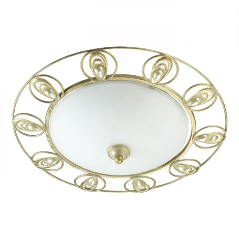 Настенно-потолочный светильник Odeon Light Kanti 3483/2C