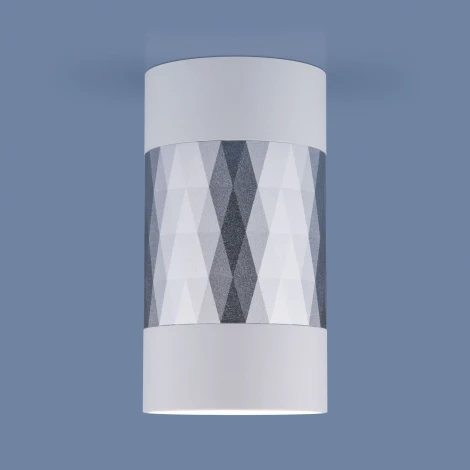 Накладной светильник белый DLN110 Elektrostandard Mizar GU10 (220V, круглые)