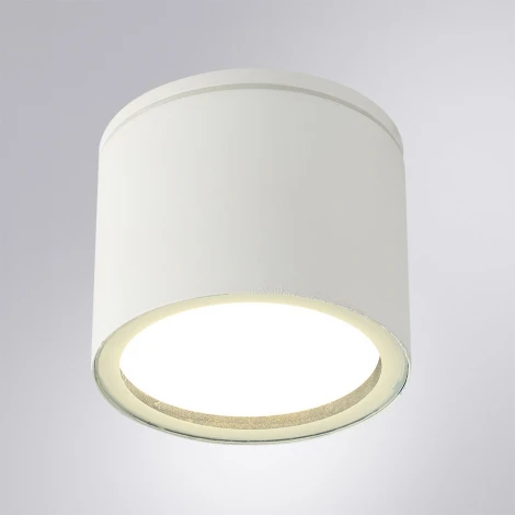 Потолочный светильник уличный Arte Lamp Piautos A1913PF-1WH (220V, круглые, IP54)