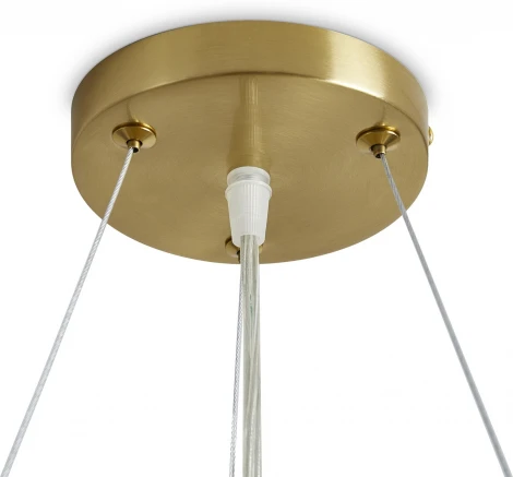 Подвесной светильник Freya Cozy FR6170PL-L52BS (LED, 220V, круглые)