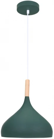 Подвесной светильник Moderli Eline V11446-1P (220V, на проводе, круглые)