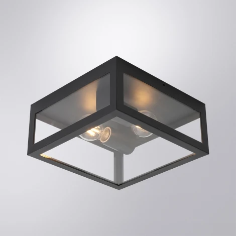 Потолочный светильник уличный Arte Lamp Belfast A4569PF-2BK