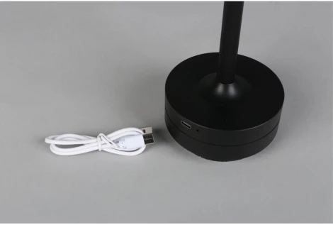 Настольная лампа светодиодная Aployt Markel APL.064.24.05 (220V)