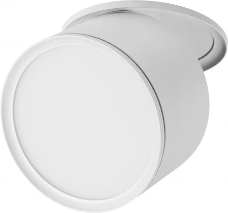 Встраиваемый потолочный светильник Lightstar Acuto 215856 (LED, 220V, круглые, IP44)