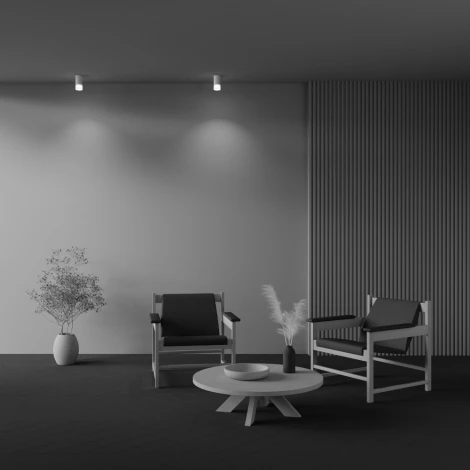 Накладной потолочный светильник Pauline GU10 1x10Вт Maytoni Technical C007CW-01W (220V)