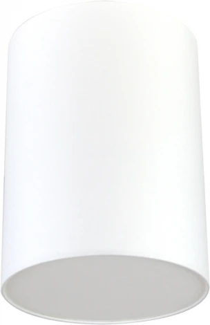 Потолочный светильник круглый Lighthall Camerona 30 LH022018 (круглые)