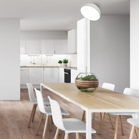 Потолочный светодиодный светильник Escada 20025LED 20025SMA/01LED WH 15Вт, 720Лм, 3000-6000К, Ra>80, металл/акрил, белый